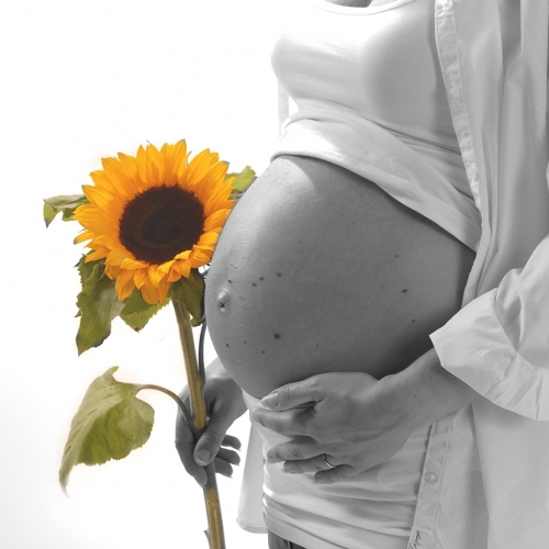 Babybauch