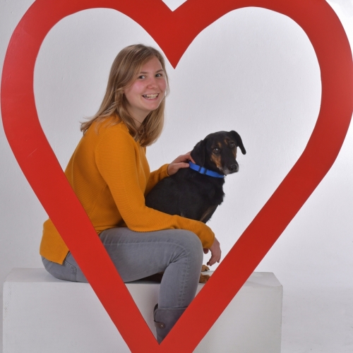 Ich liebe Hunde
