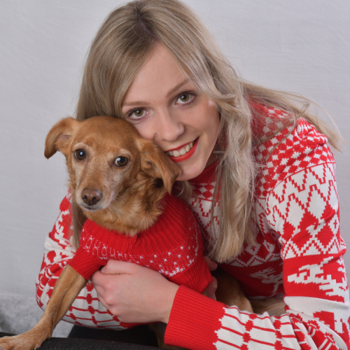 weihnachtshund